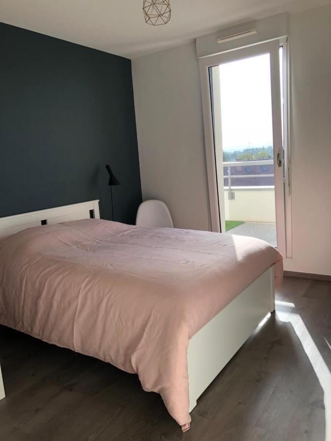 La Terrasse Apartment Strasbourg Luaran gambar
